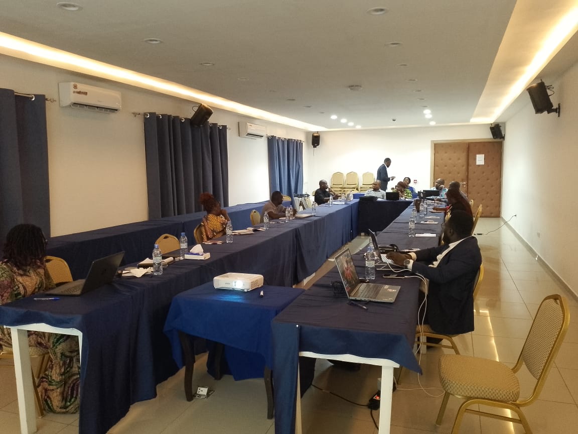 Formation des Groupes : Début des Efforts pour la Création des Matériaux Audiovisuels du DPI